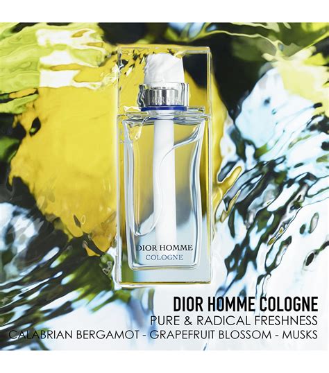 dior homme summer 2006|Dior Homme cologne fragrantica.